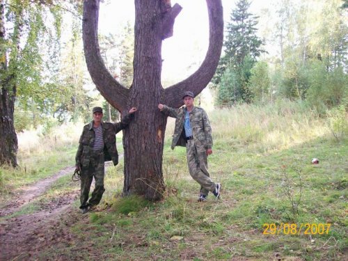 Яшкинский трезубец