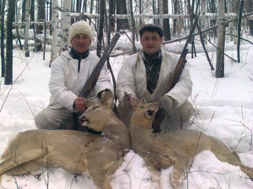 повезло