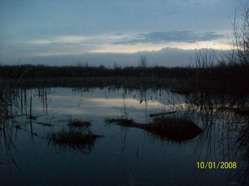 утро