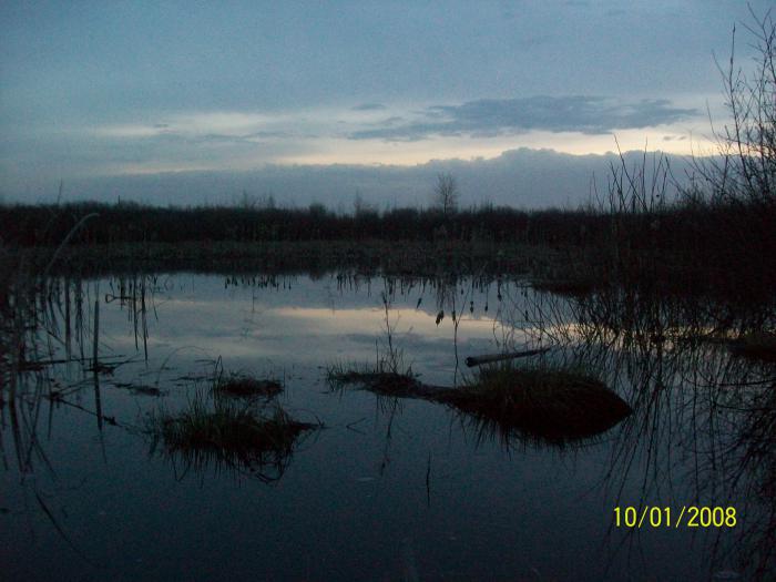 утро