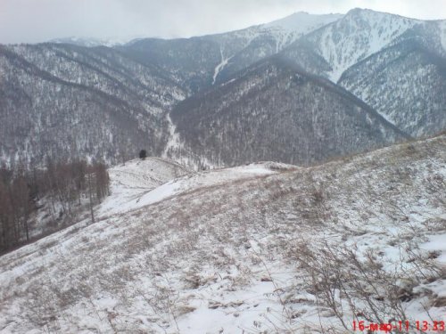 Горный алтай
