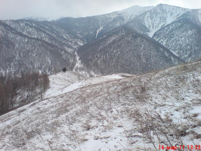 Горный алтай