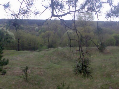крутышено 