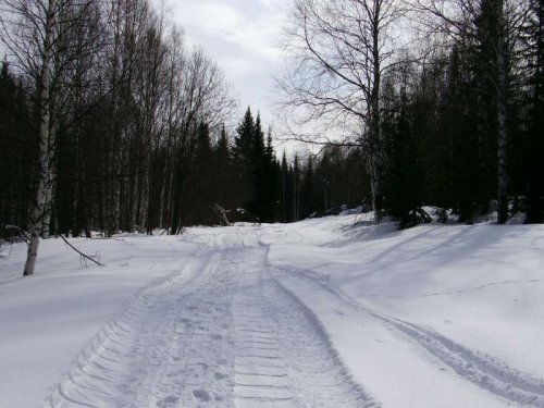 Сейчас в тайге.