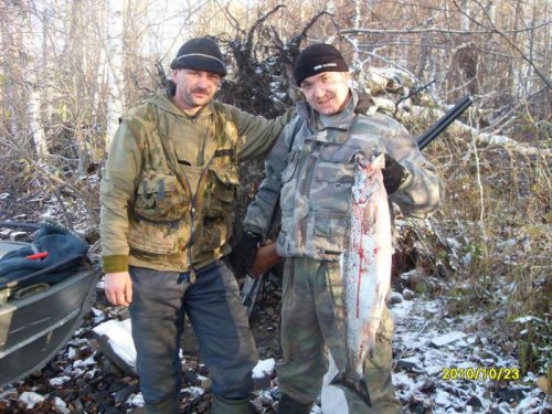 лосось