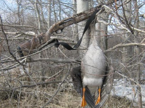 Эх, весна 2010