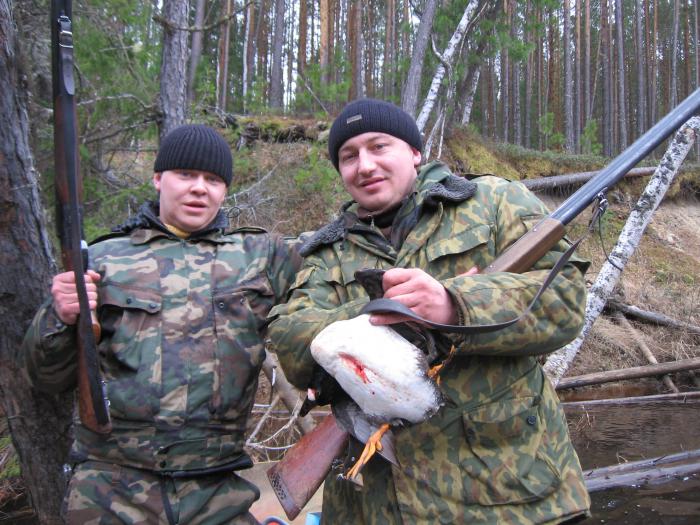 гогль здесь хорошь!