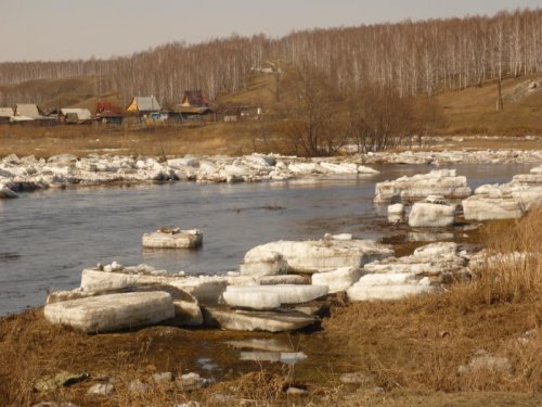 весною в прошлом году