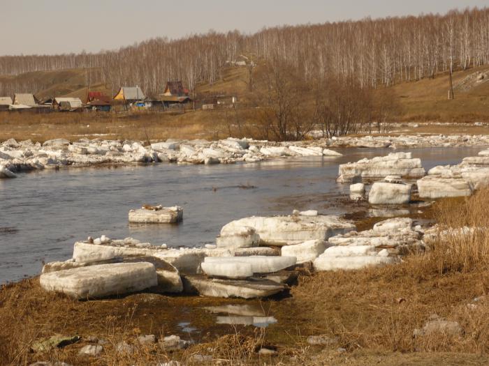 весною в прошлом году