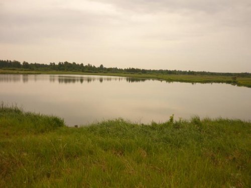 Болотце 