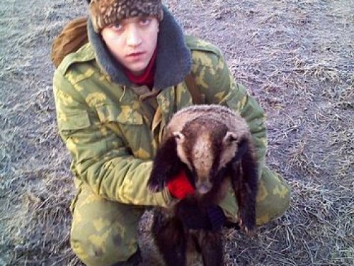 Барсук