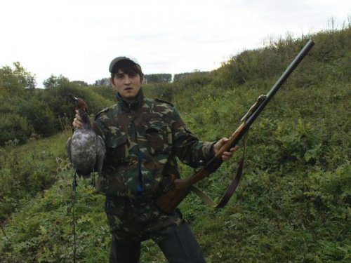 Свиязик