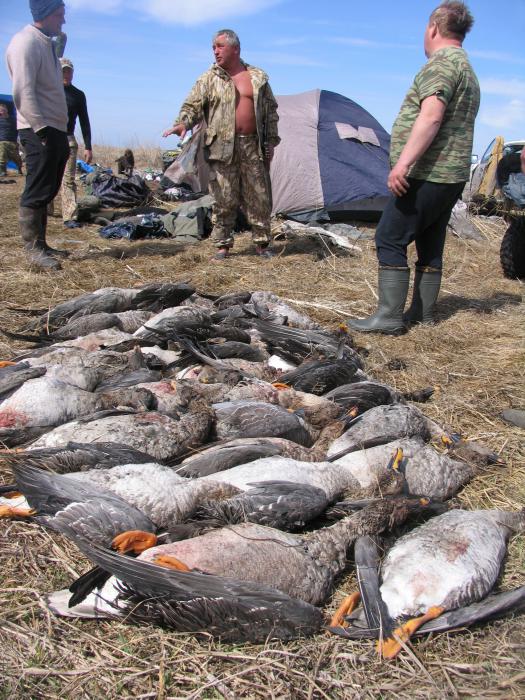 На злобу дня...)))) весна 2010 