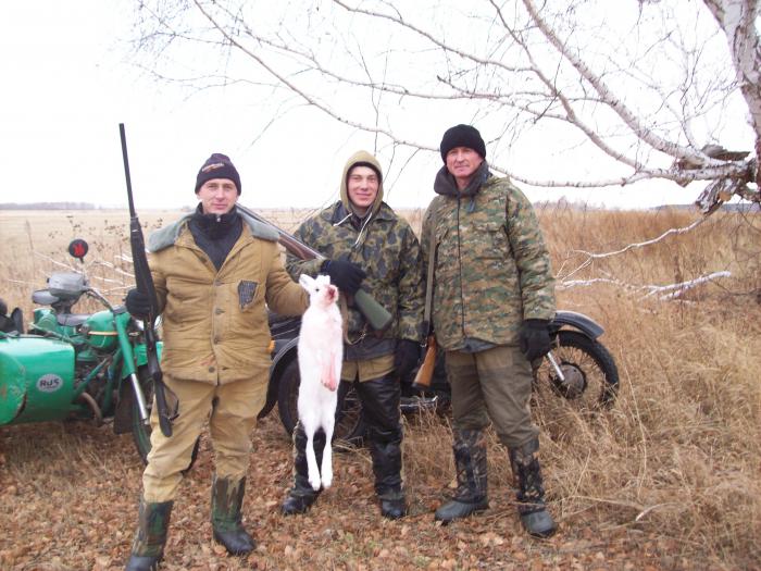 сезон 2010