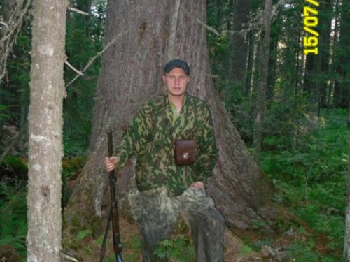 кедринка