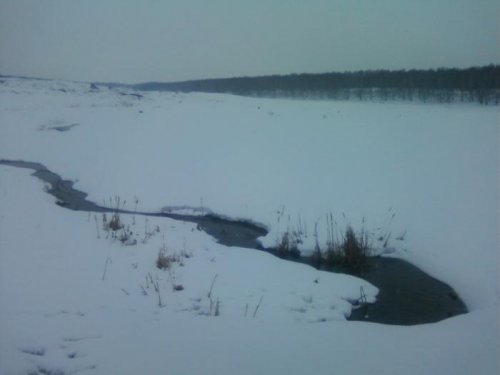 16 апреля 2010 г