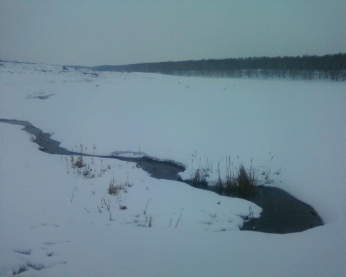 16 апреля 2010 г