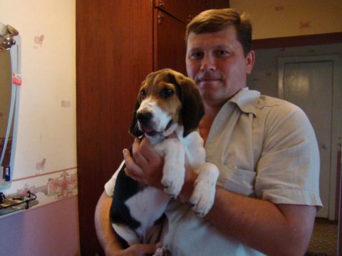 Огарчик