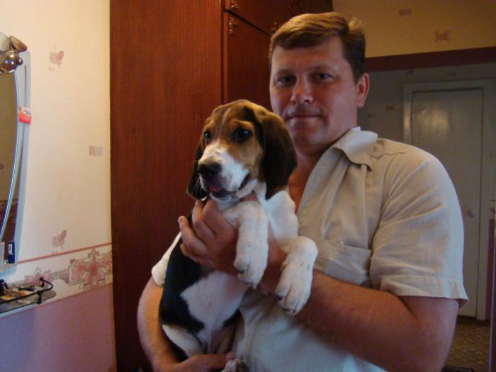 Огарчик