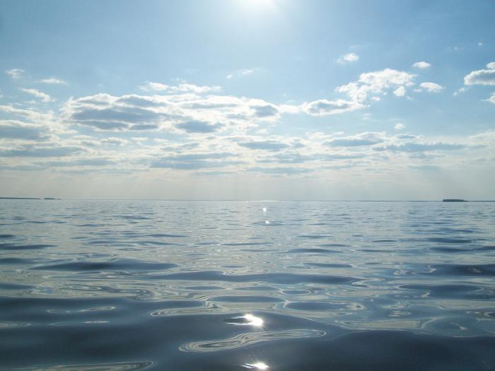 Море!Новосибирское)))