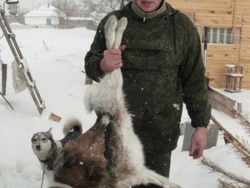 борзяк ирусак