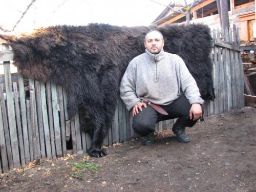 хозяин