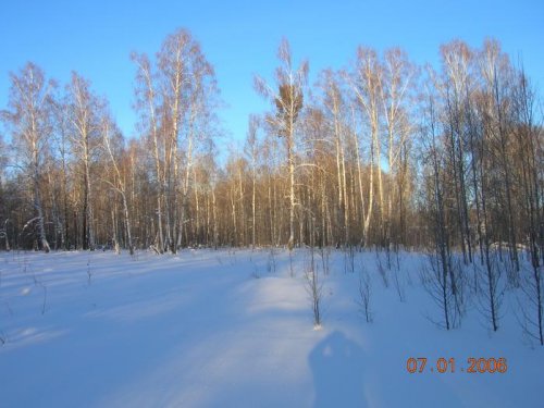 Места в Мошковском