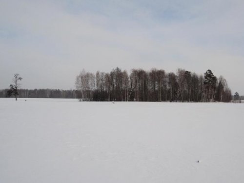 Обложили