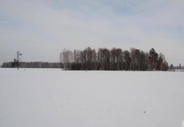 Обложили