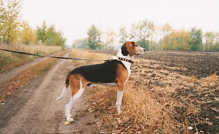 Охотник