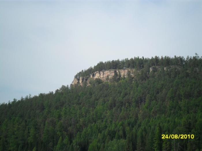 наш лес