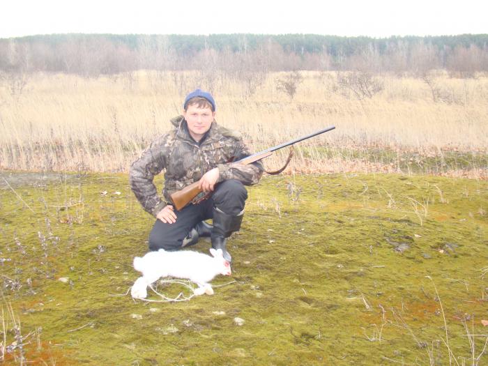 На островах
