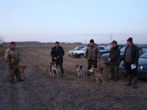 Перед испытаниями