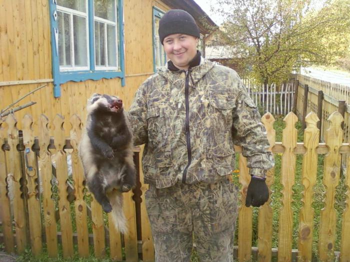 барсук