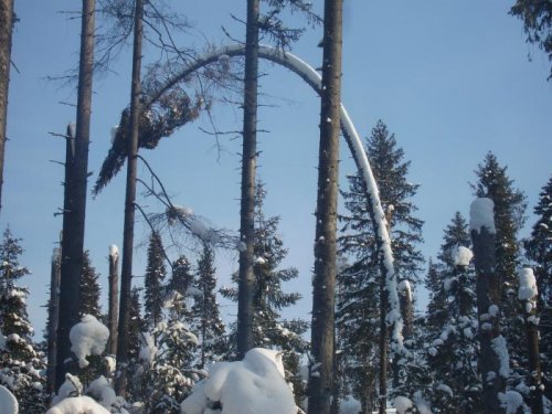 э как загнуло