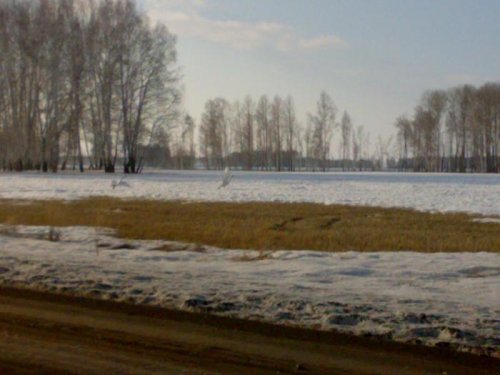 весна пришла!!!!!!