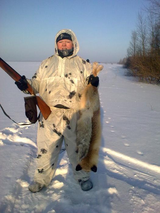 лис