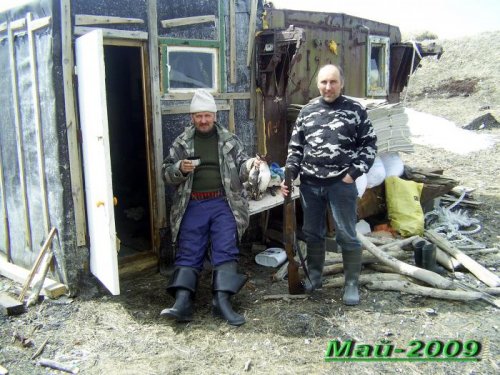 первые утки