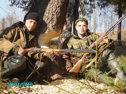 бобер постарался