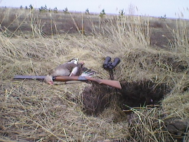 Весна 2011