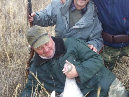Один на всех