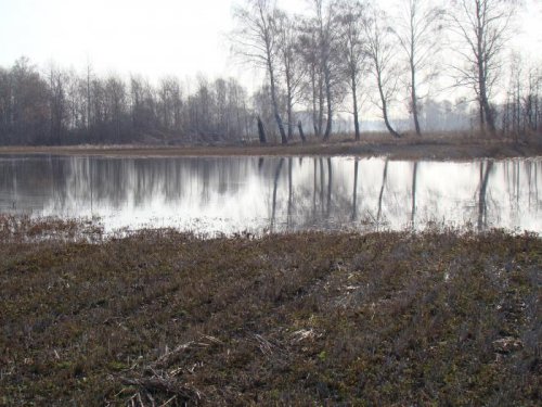 Красота