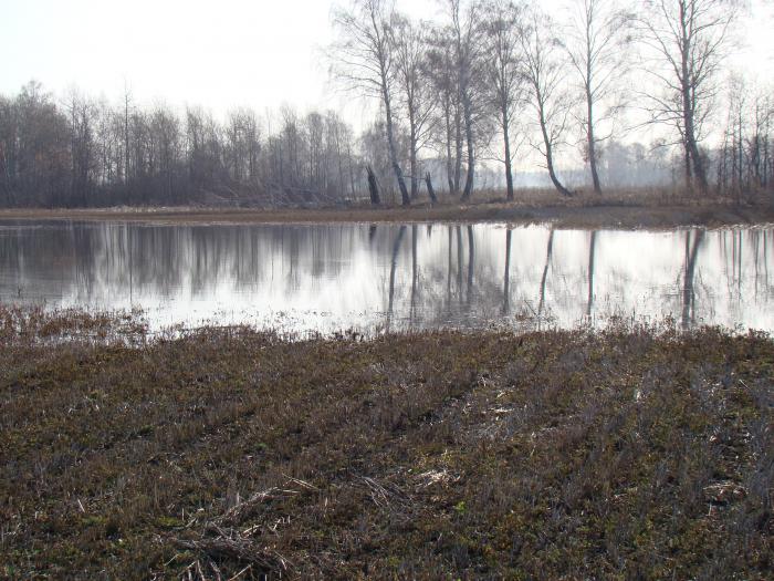 Красота