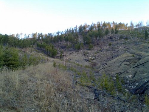 На утрянке