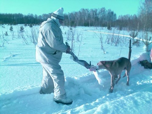 Помощник во всем