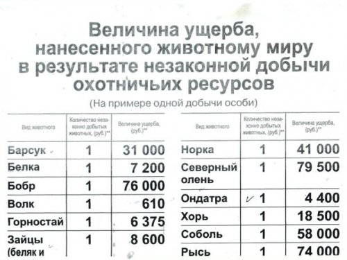 Величина ущерба