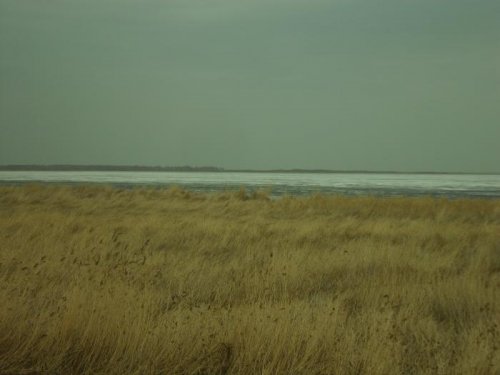 канкуль