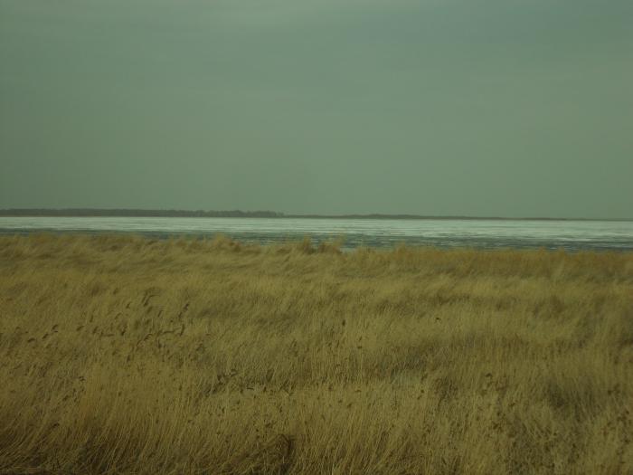 канкуль