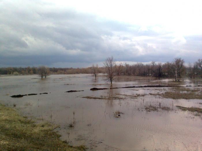 Давненько не было такого разлива у нас