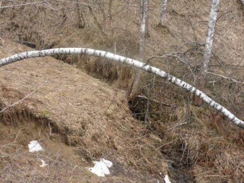 речушка))